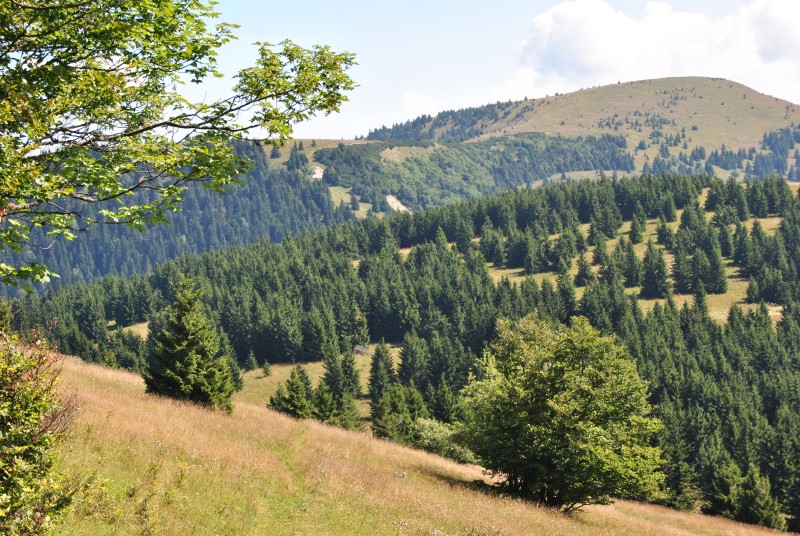 pepajs.cz